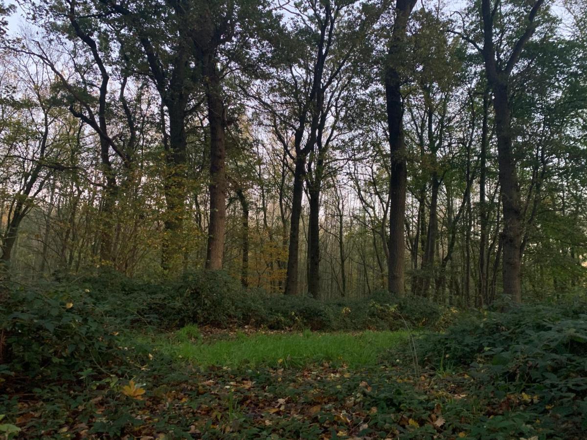 Le Gite Du Bois Greffier Fletre Exterior foto